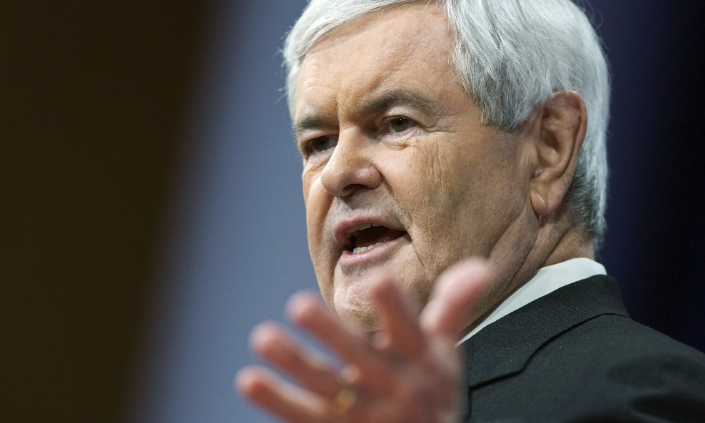 newt gingrich