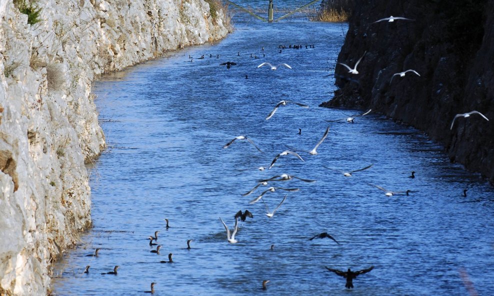 vransko jezero zd