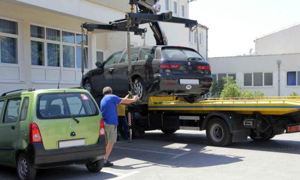 Poljak i pauk služba (2)