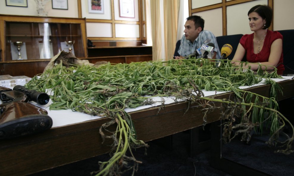 marihuana gvozd stabljike trava