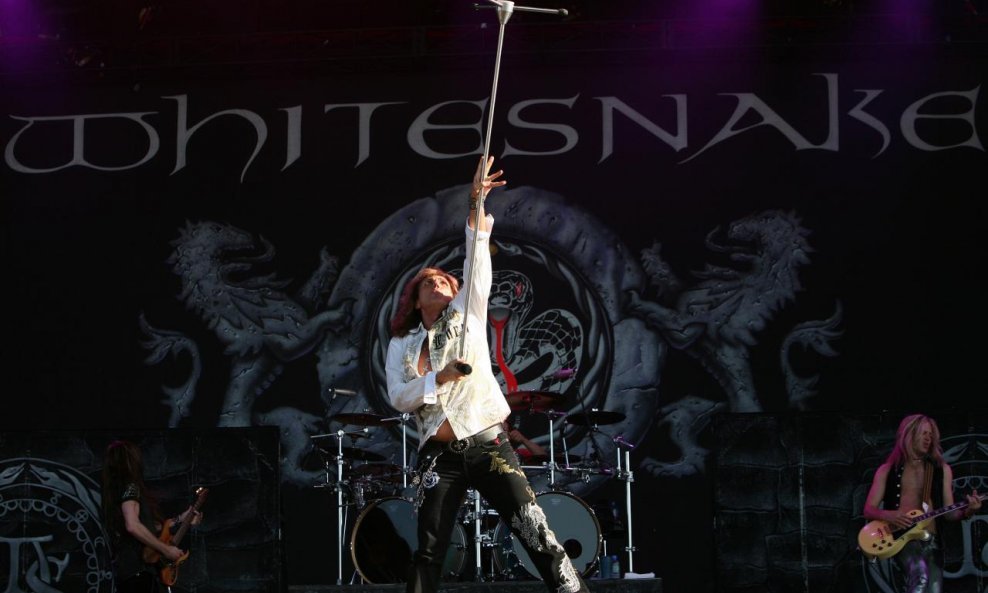 Whitesnake