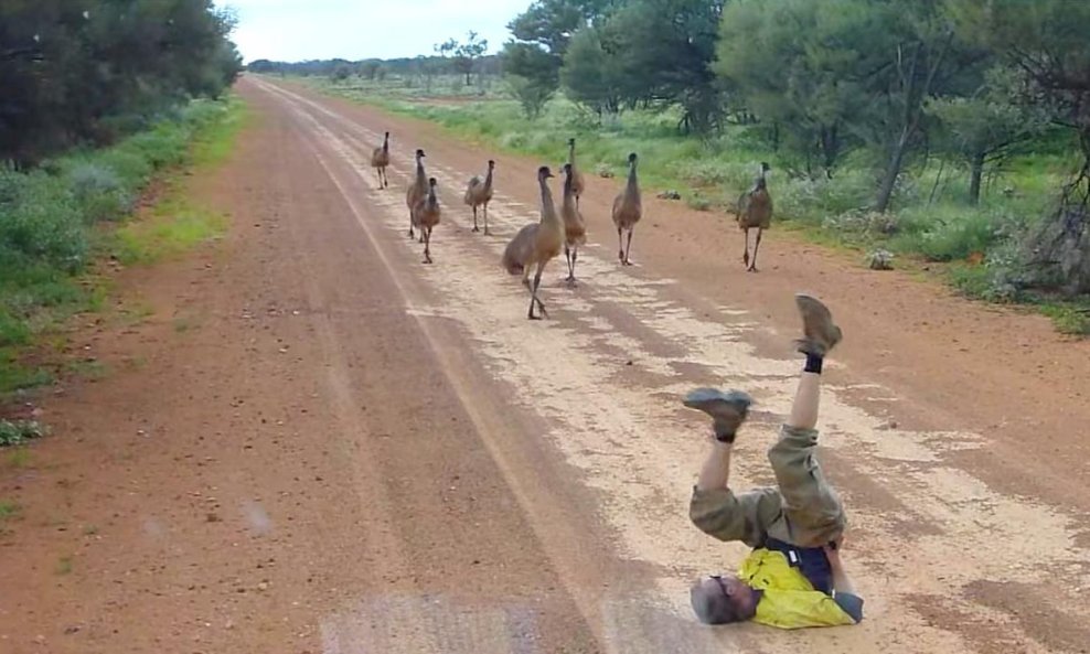 emu funvideo