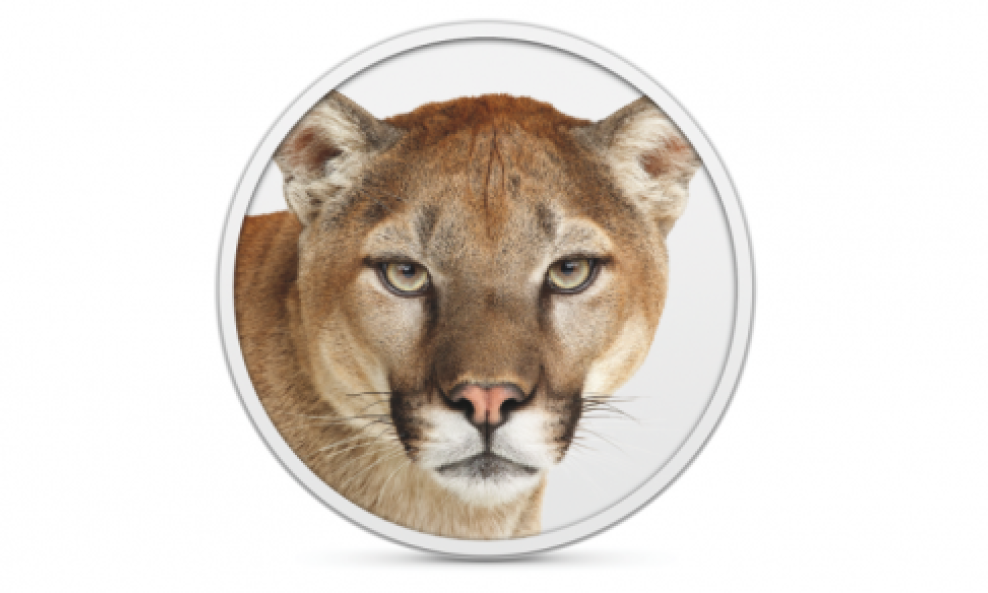 mountain lion