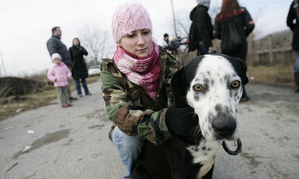 Zahvaljujući volonterima i ljubiteljima životinja koji svake nedjelje pomažu azilu za napuštene pse u Osijeku tako što izvode pse u šetnju i donose im hranu, Grad Osijek financirat će cijepljenje protiv bjesnoće svih 250 pasa koliko ih je trenutno u azilu