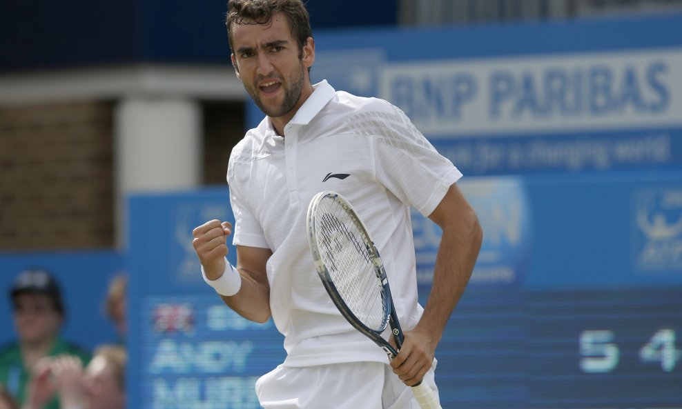 Marin Čilić (2)