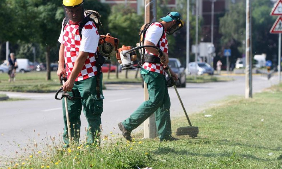 Radnici Zelenila uoči utakmice na posao došli u navijačkim majcama (5)