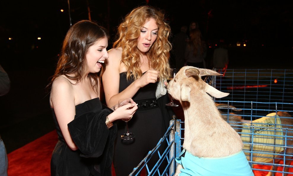 anna kendrick