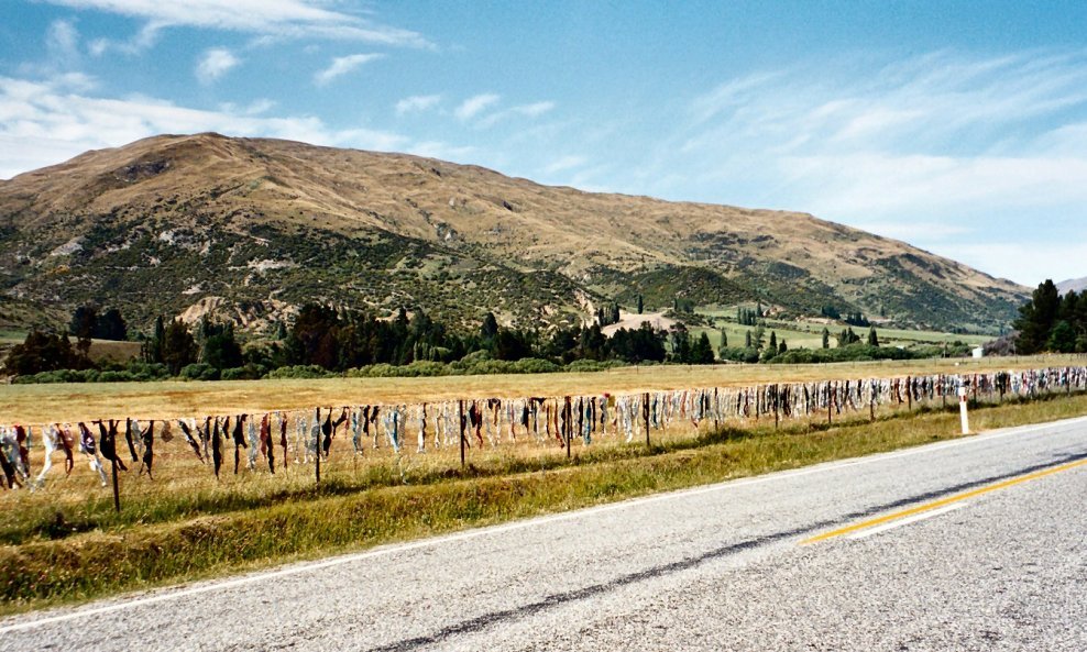 Ograda grudnjaka Novi Zeland