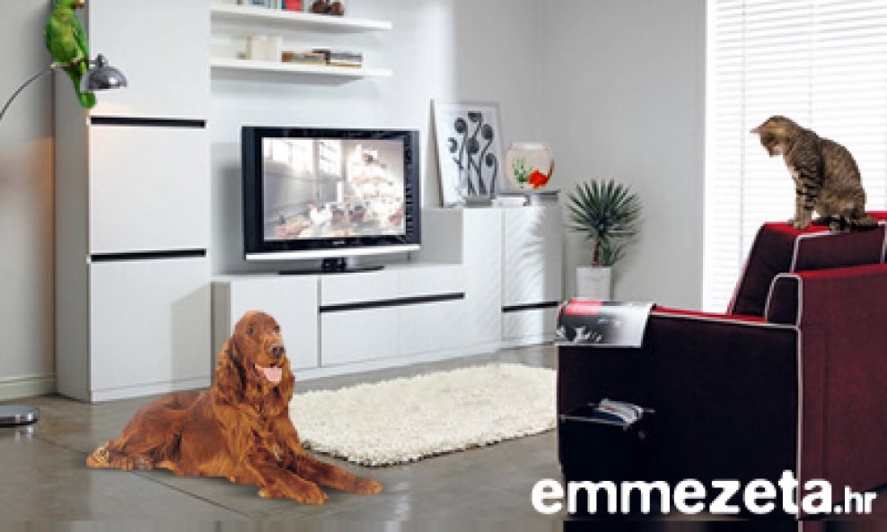 emmezeta-ljubimci-400