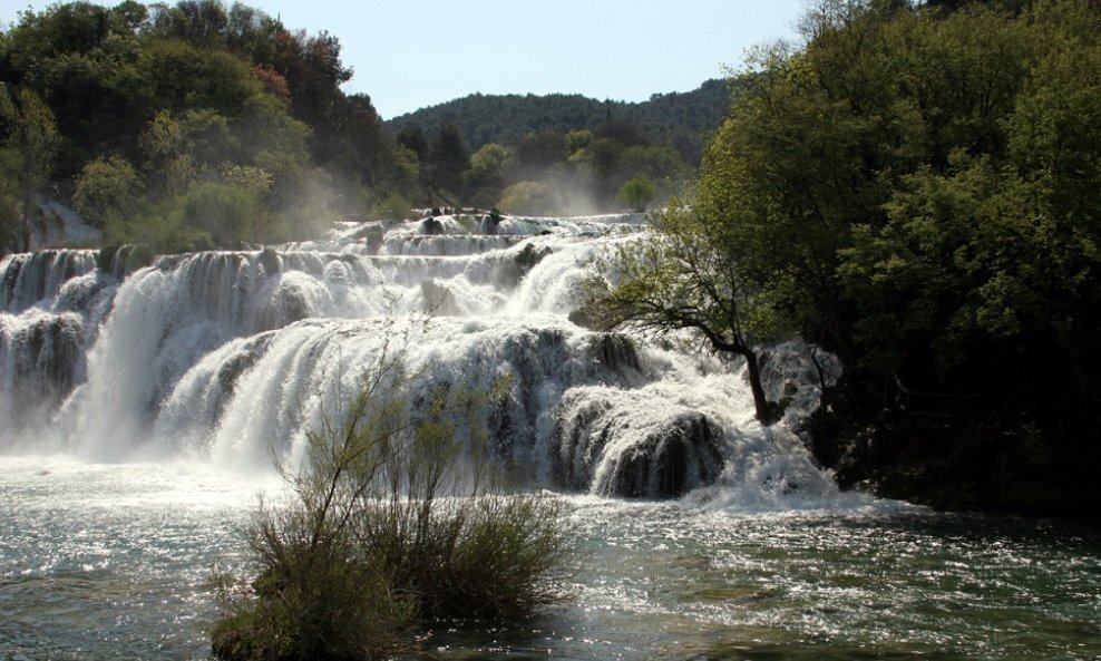 NP Krka IMG3