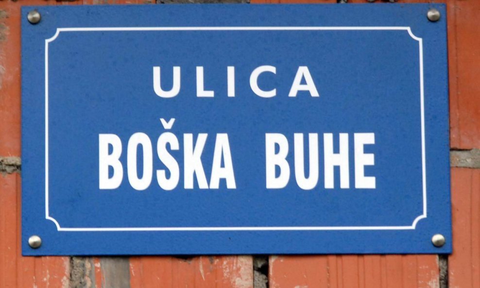 Ulica Boška Buhe