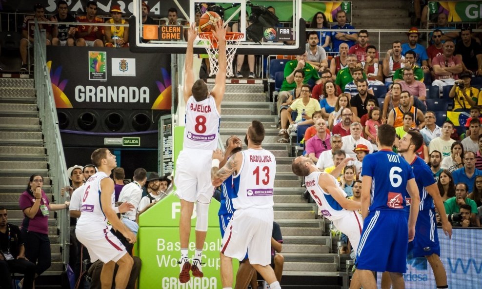 Bjelica u akciji