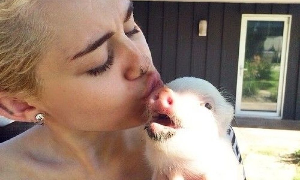 Miley Cyrus 