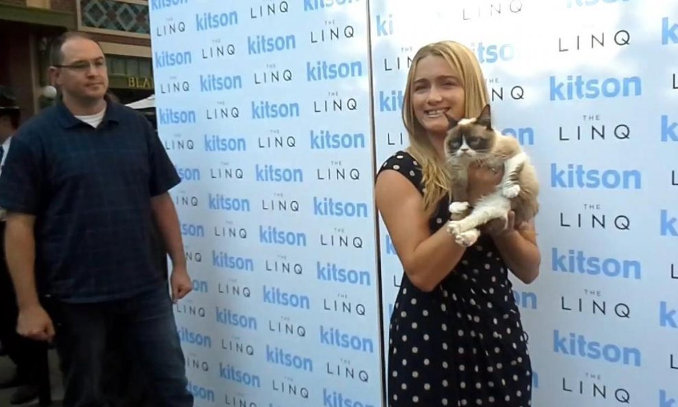 grumpy cat