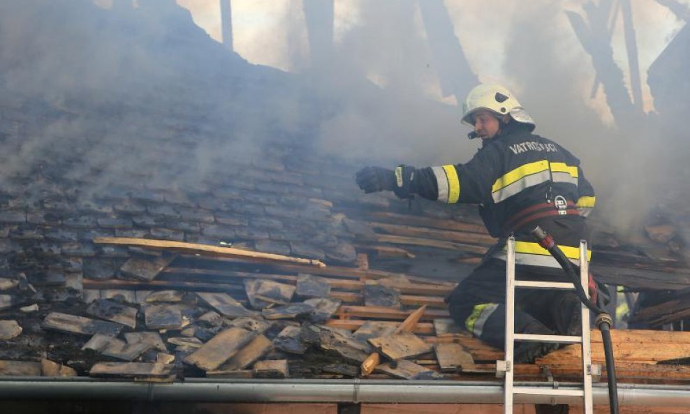 U zgradi Eko centra u Zlatnoj Gredi u Baranji, koja se nalazi uz rub Parka prirode Kopački rit, jutros oko 7 sati izbio je požar, kojeg vatrogasci još nisu lokalizirali.