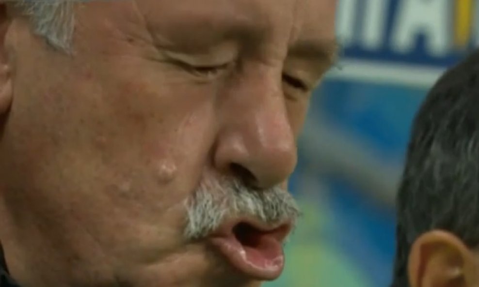 Vicente del Bosque