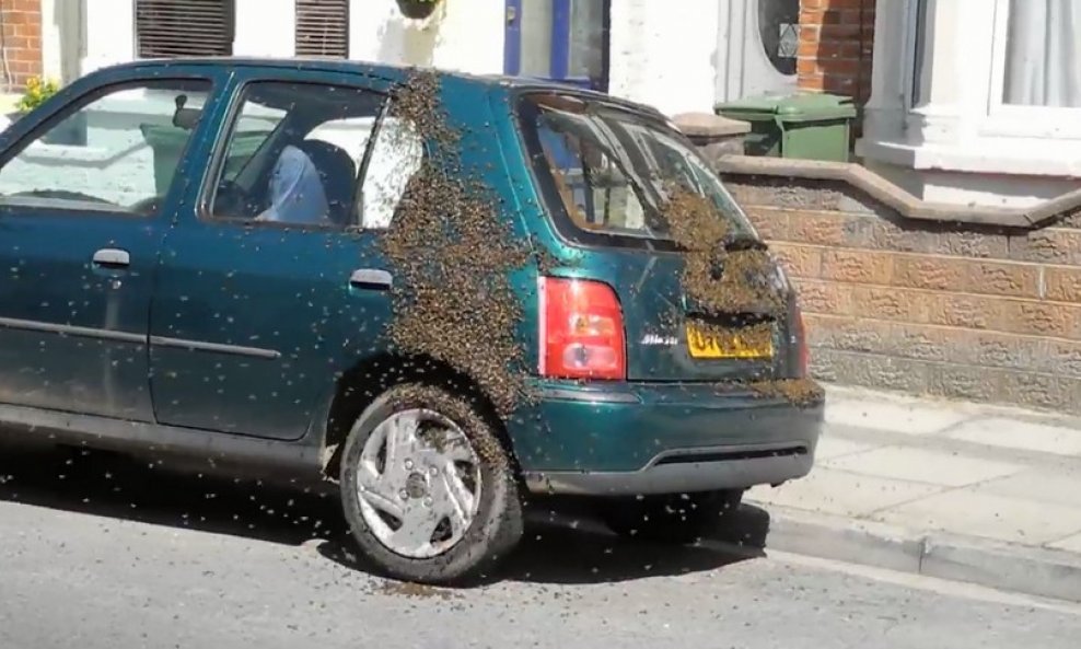 automobil pčele funvideo