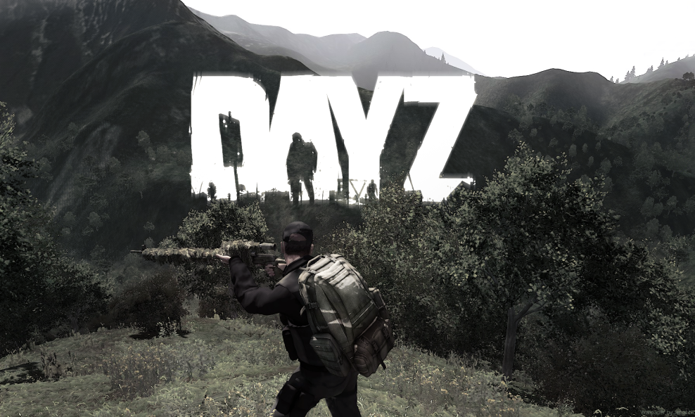 dayz