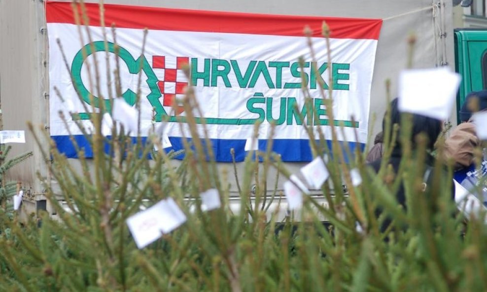 Hrvatske šume