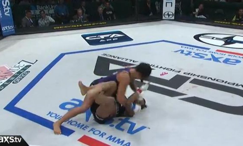 Fallon Fox nokautirana