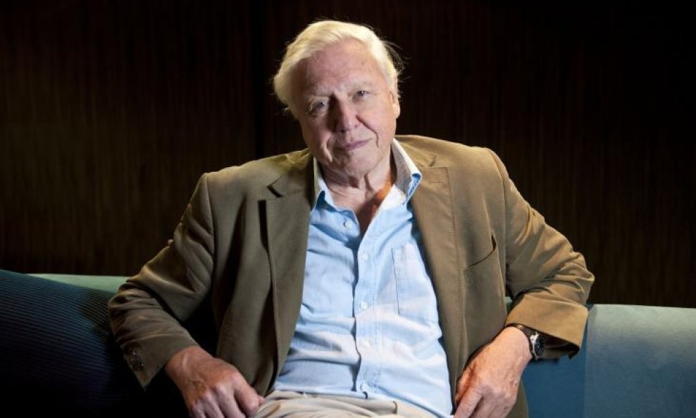 David Attenborough