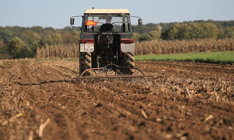 Sve je više uljane repice, a manje pšenice na hrvatskim oranicama