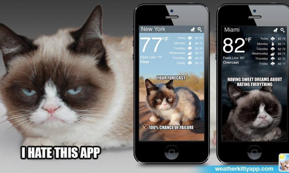 weather kitty app
