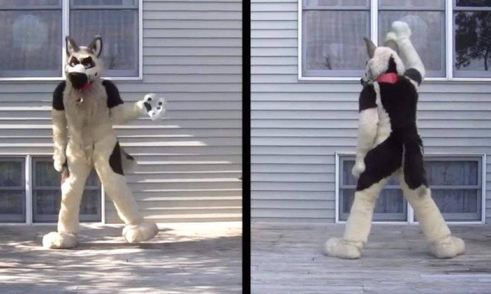 anthrocon funvideo