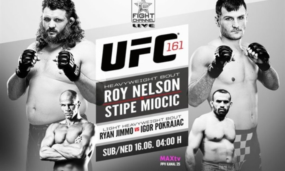 UFC 161