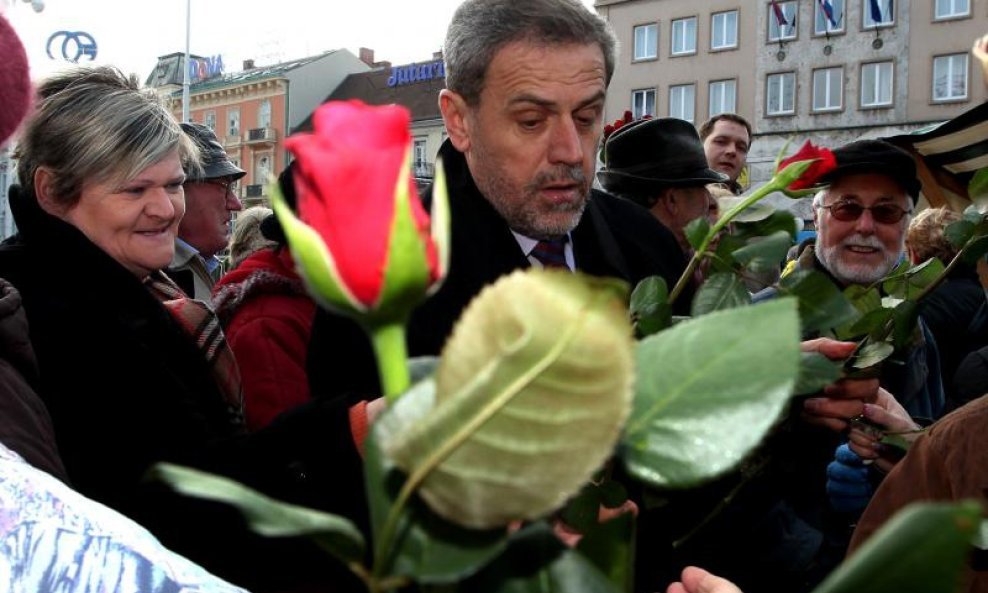 Milan Bandić ruže