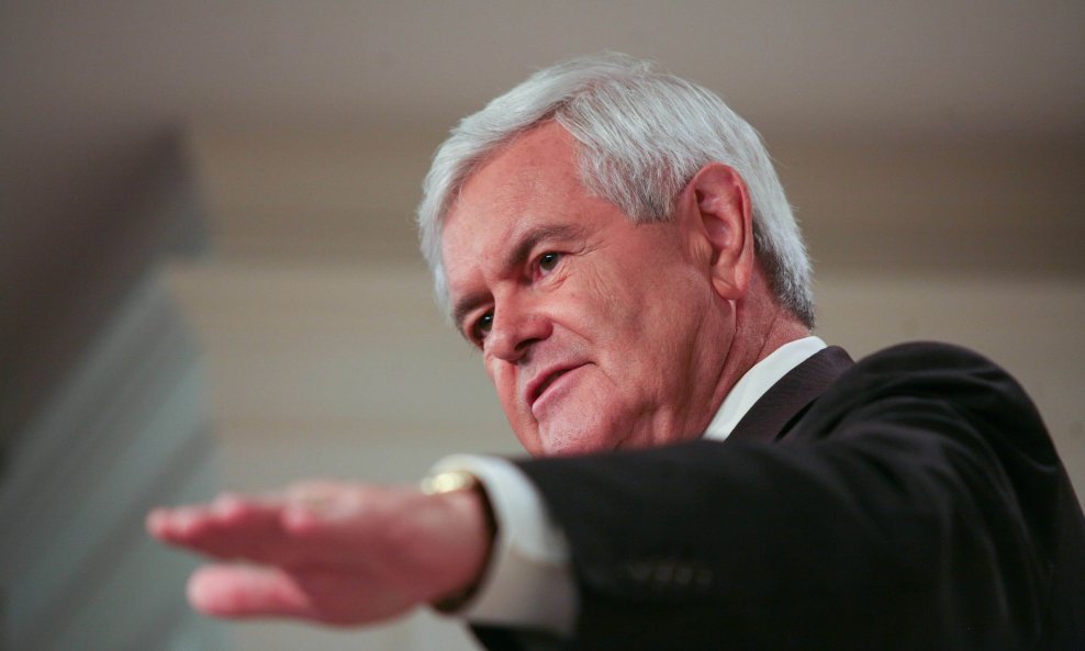 newt gingrich