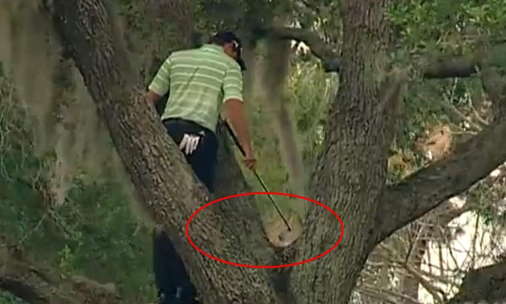 Golf udarac s drveta golferski Tarzan