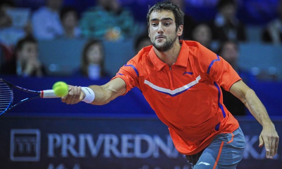 Marin Čilić (PBZ Zagreb Indoors 2013)