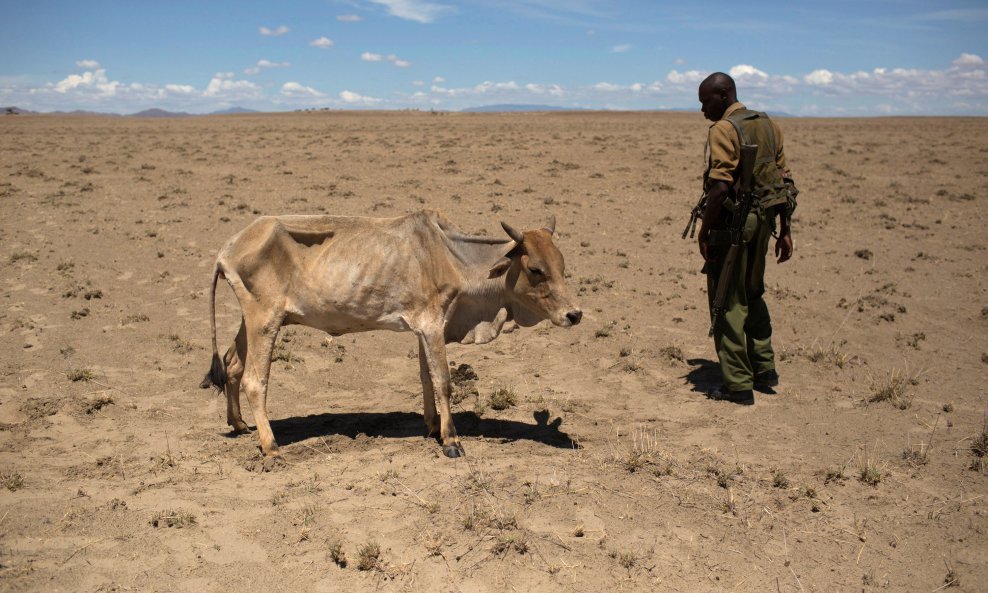 U Africi ljudi i životinje umiru od gladi (na slici kenijski vojnik u blizini etiopijsko-kenijske granice)