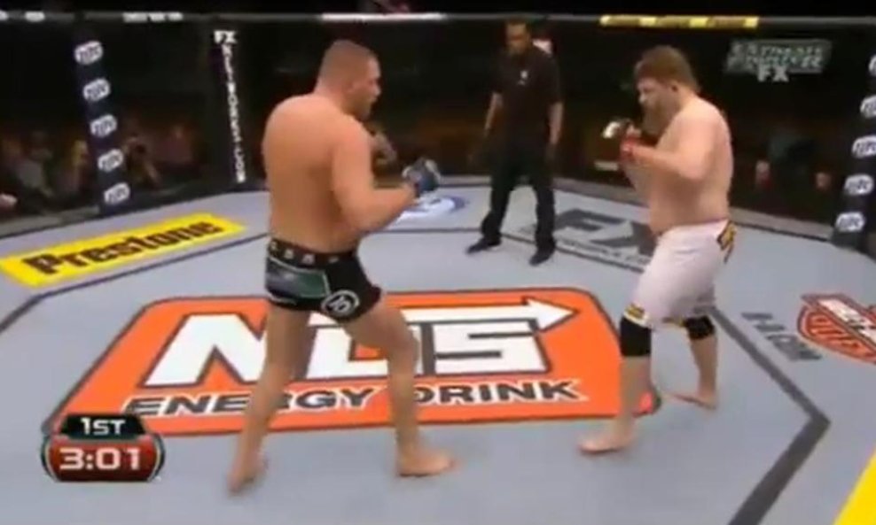 Matt Mitrione i Roy Nelson