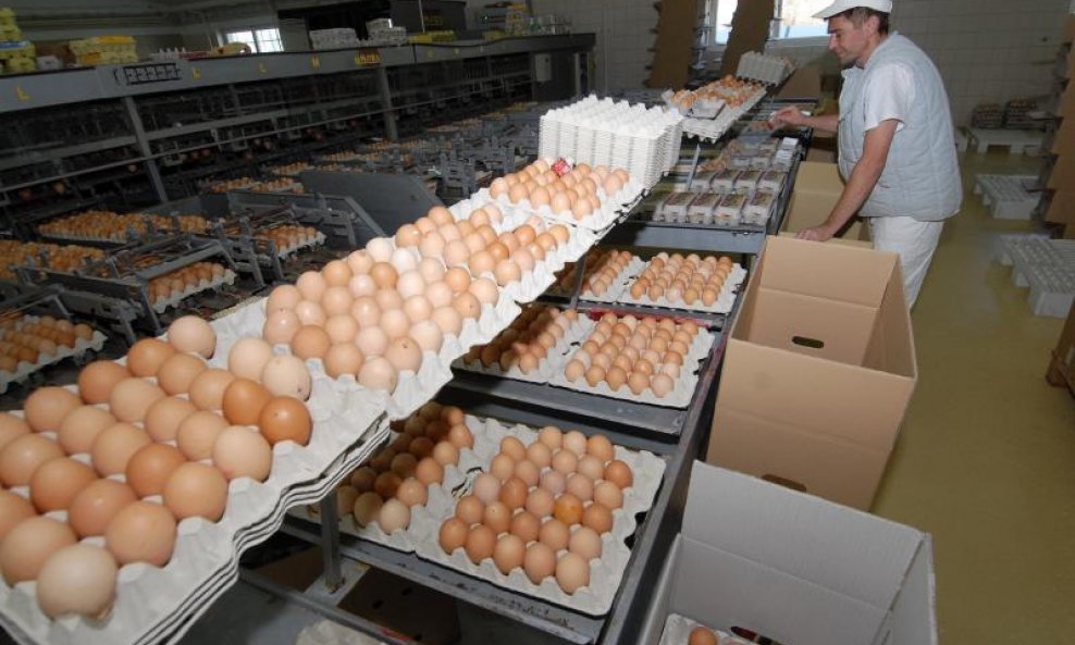 Hrvatska je samo jedna od tri države članice EU u kojoj se nisu pojavila kontaminirana jaja