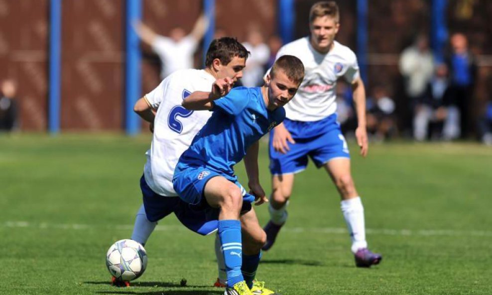 Fran Brodić