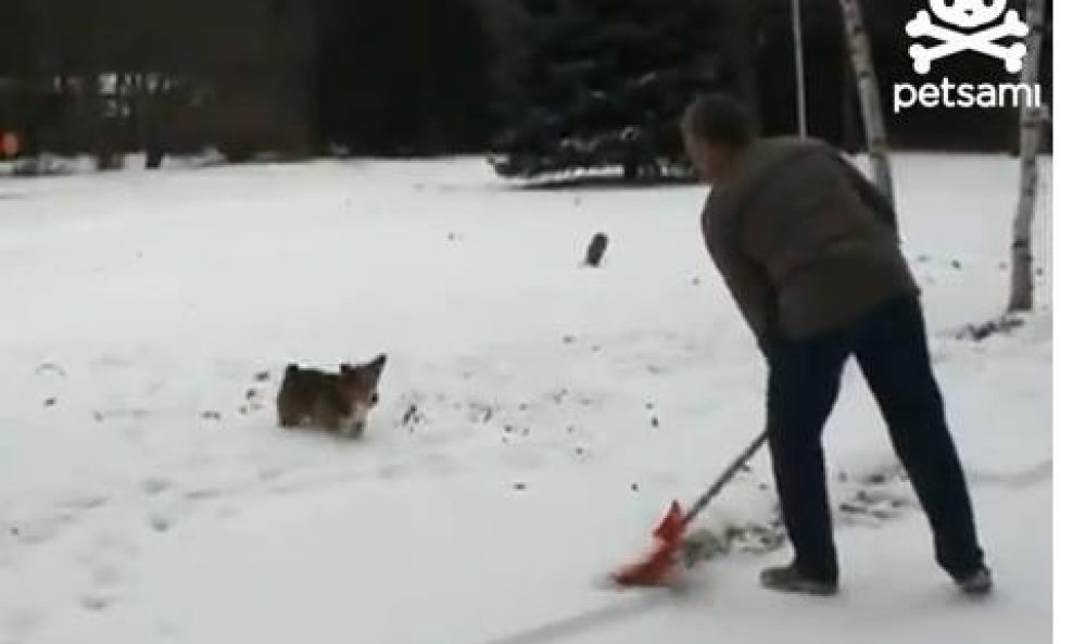 Akrobatski pas radi kolutove unazad na snijegu