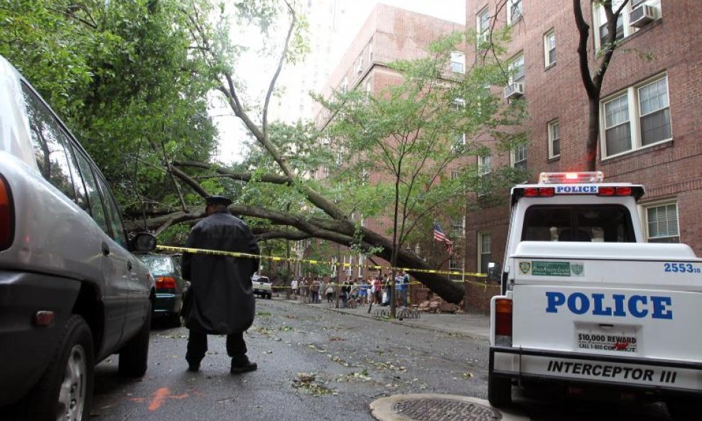 New York 201