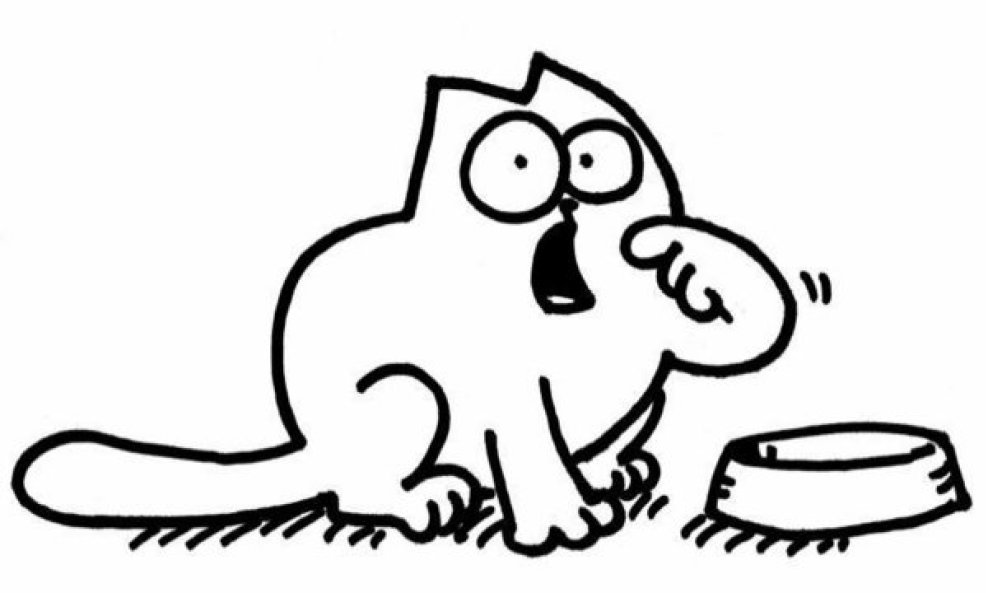 SIMON'S CAT