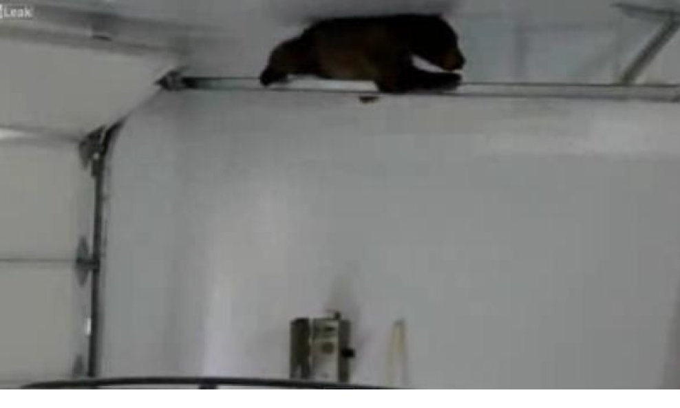 Medvjedić zarobljen u garaži dobiva neočekivanu pomoć