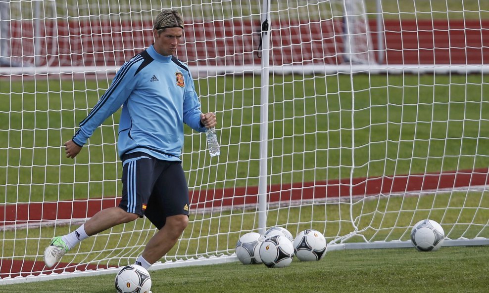 Fernando Torres