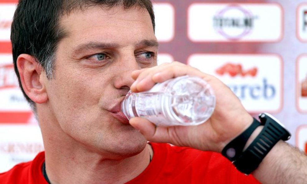 slaven bilić euro 2012