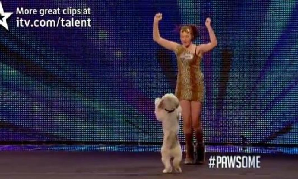 pas Pudsey i Ashleigh Butler