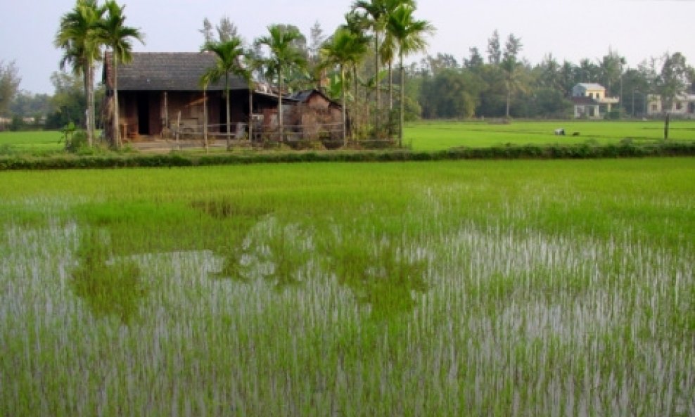 Hoi An Vijetnam