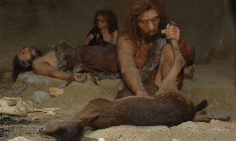 Muzej krapinskih neandertalaca (10)