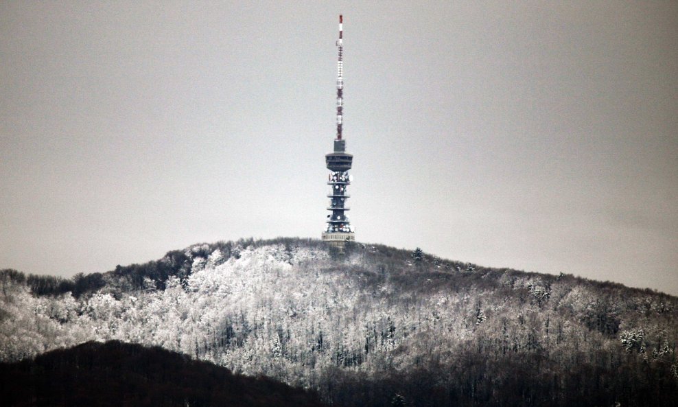 SLJEME MEDVEDNICA SNIJEG