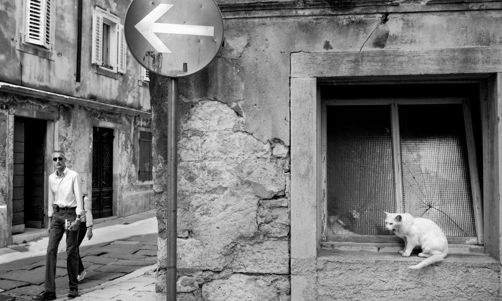 Dalibor Talajić_Vodnjanska priča_07