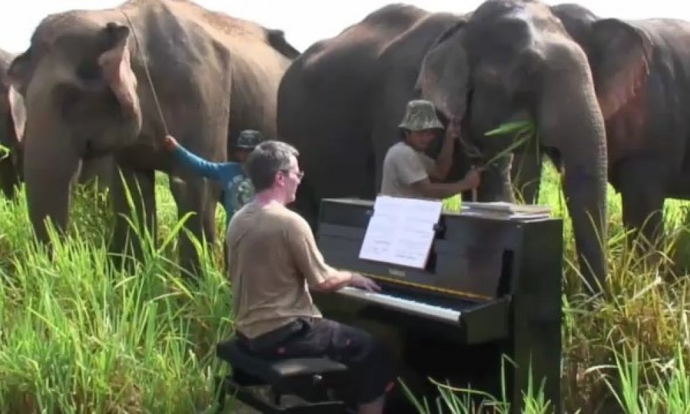 Paul Barton klavir slonovi