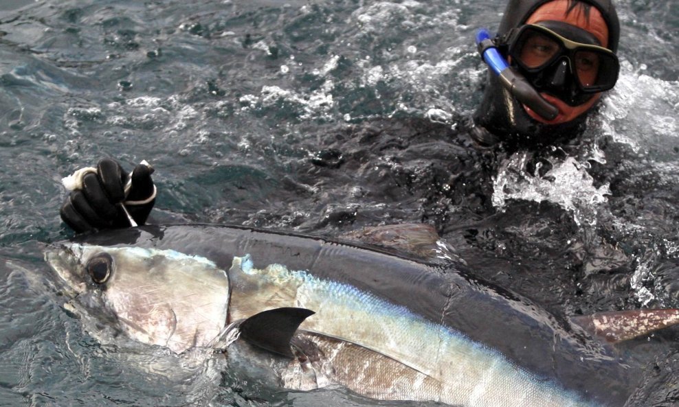 tuna, tunogojilište